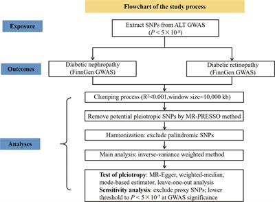 The association of alanine aminotransferase and diabetic microvascular complications: A Mendelian randomization study